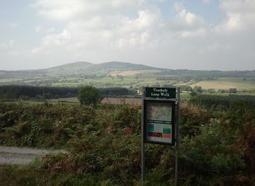 ireland/county-wicklow/attraction/tinahely-market-house