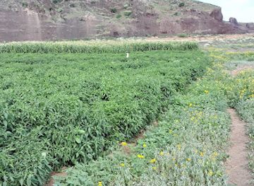 ethiopia/awash-national-park/attraction/fami-dae-farm