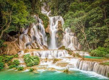 laos/sainyabuli-province/attraction/manifa-elephant-camp-luang-prabang-office