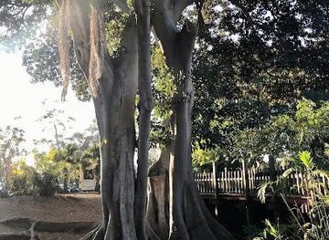 california/san-diego-beaches/attraction/palm-canyon-trail