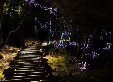 montenegro/rovca/attraction/lightland