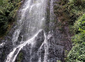 kenya/nakuru/attraction/cedar-waterfall