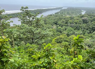 costa-rica/tortuguero-national-park/attraction/cerro-del-tortuguero