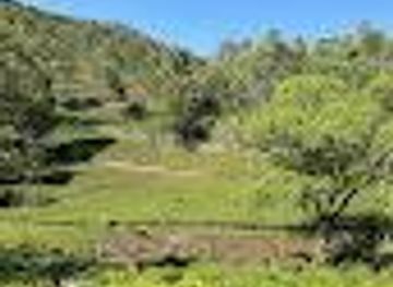 india/coimbatore/attraction/sri-waterfalls-sai-baba-temple-sri-muthu-mariamman-temple