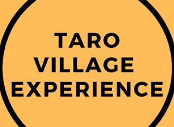 indonesia/bali/attraction/taro-village-experience
