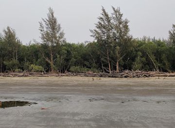 bangladesh/kuakata/attraction/tengragiri-eco-park-beach