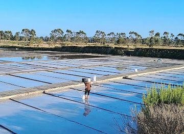 portugal/figueira-da-foz/attraction/salinas-dos-doutores