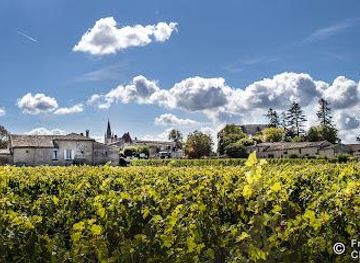 france/bordeaux/attraction/chateau-guadet