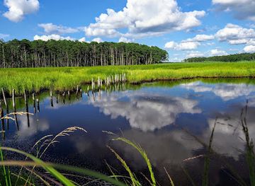 maryland/blackwater-national-wildlife-refuge/attraction/blackwater-national-wildlife-refuge-visitor-center