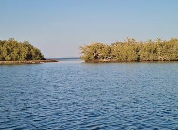 egypt/sharm-el-sheikh/attraction/nabq-nature-reserve