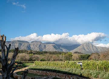 south-africa/route-62/attraction/root44-market