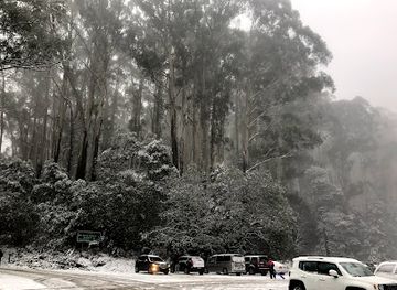 australia/yarra-valley/attraction/10-mile-picnic-area