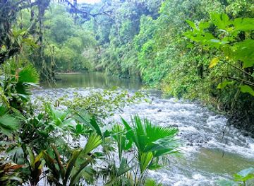 ecuador/amazon/attraction/parque-etnobotanico-omaere