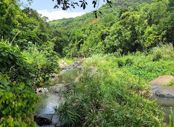 puerto-rico/el-yunque-national-forest/attraction/los-pilones-waterfall