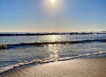 spain/valencia/attraction/platja-de-l-arbre-del-gos