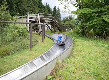 germany/vogtland/attraction/sommerrodelbahn-muhlleithen
