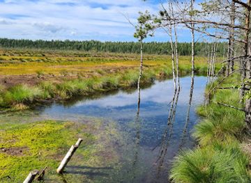 estonia/lahemaa-national-park/attraction/margala-taastamine