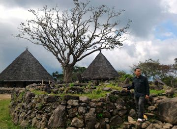 indonesia/east-nusa-tenggara/attraction/ruteng-puu-traditional-village