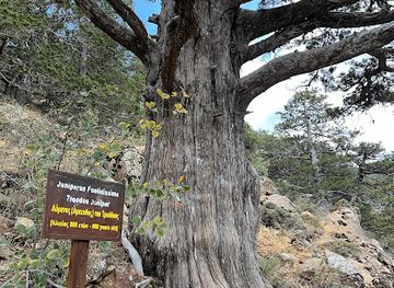 cyprus/troodos-mountains/attraction/800