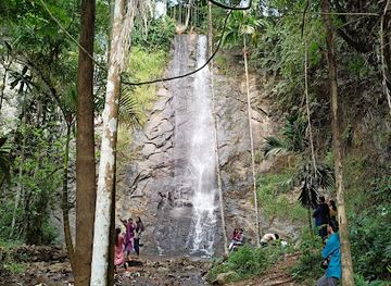 india/kerala-backwaters/attraction/vazhappara-little-kuttalam