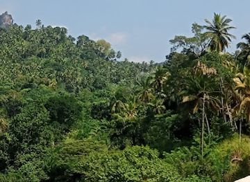 sri-lanka/pinnawala-elephant-orphanage/attraction/uthuwankanda-viewpoint