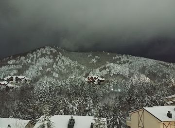 south-korea/pyeongchang-ski-resorts/attraction/mona-yongpyong-mountain-coaster