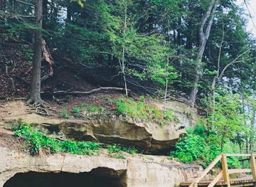 indiana/turkey-run-state-park/attraction/trail-3-at-turkey-run-state-park