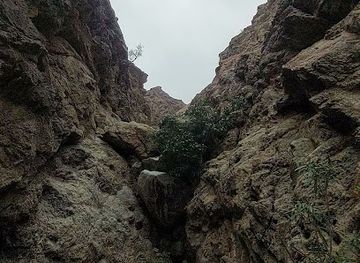 Shees vally