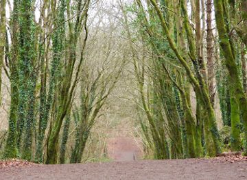 ireland/ennis/attraction/lees-road-amenity-park