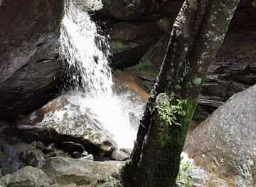 south-africa/sani-pass/attraction/cobham-nature-reserve-bathplug-waterfall