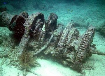 florida/key-largo/attraction/molasses-reef
