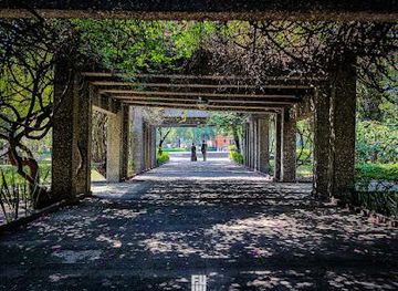 mexico/mexico-city/attraction/parque-frida-kahlo