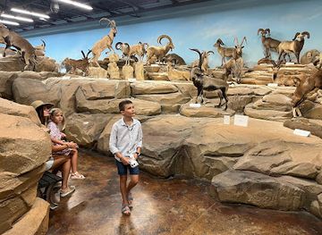 utah/st-george/attraction/rosenbruch-world-wildlife-museum