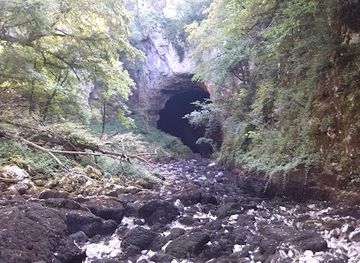 slovenia/postojna-cave/attraction/weaver-cave