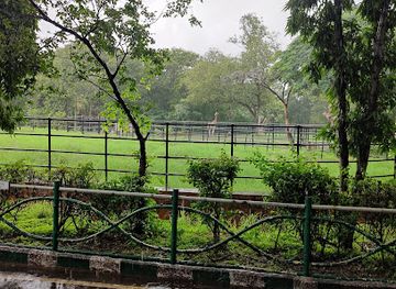 india/mysore/attraction/giraffe-view-point