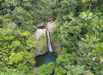 puerto-rico/dorado/attraction/adventure-discovery-puerto-rico