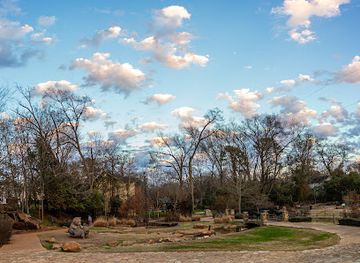texas/tyler/attraction/the-children-s-park-of-tyler