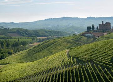 italy/langhe/attraction/pio-cesare