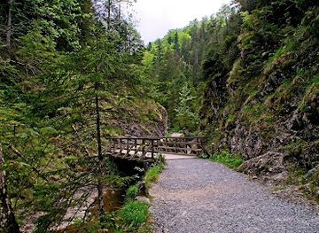 poland/podhale/attraction/dolina-bialego