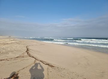 oman/salalah-coastal-plain/attraction/auwqad-beach