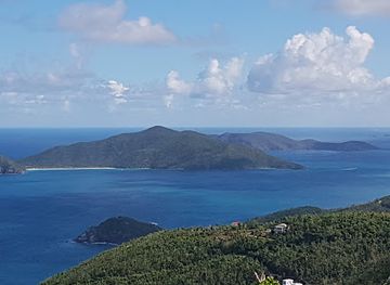 british-virgin-islands/little-camanoe/attraction/jenesis-studios