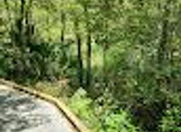 florida/mount-dora/attraction/monkey-island-trail