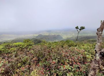 mauritius/black-river-gorges-national-park/attraction/mount-cocotte-trail-hiking-and-exploring-mauritius