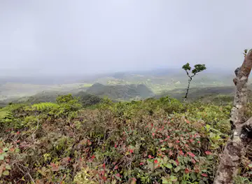 Mount Cocotte Trail - Hiking and Exploring Mauritius