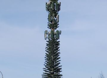 washington/kirkland/attraction/the-tree