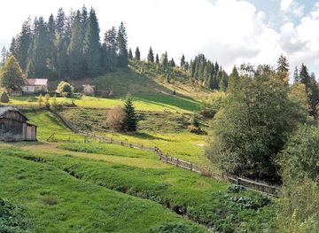 romania/bucovina/attraction/comuna-muzeu-ciocanesti