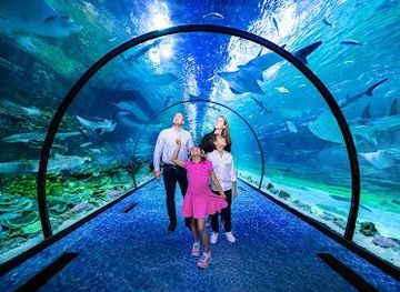 united-arab-emirates/abu-dhabi/attraction/the-national-aquarium-abu-dhabi