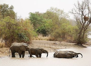 benin/comoe-national-park/attraction/pendjari-national-park