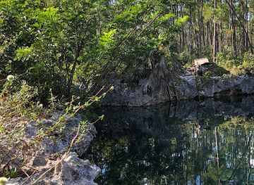 the-bahamas/andros-town/attraction/uncle-charlie-s-blue-hole