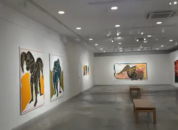 Museum and Gallery